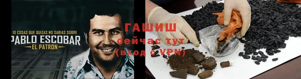 Альфа ПВП Белокуриха
