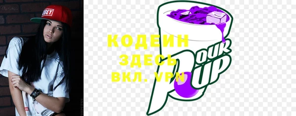 сатива Ростов